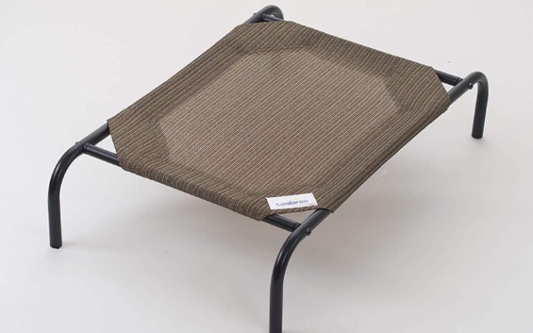 Is the Coolaroo Elevated Dog Bed Right for You and Your Dog?